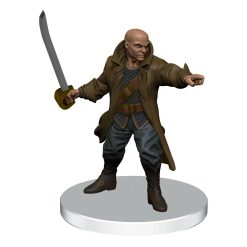 D&D Icons of the Realms: Saltmarsh pre-painted Miniatures Box 1