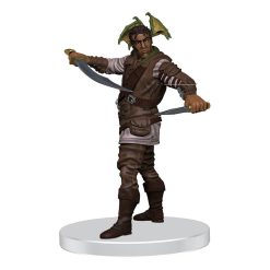 D&D Icons of the Realms pre-painted Miniatures Storm King's Thunder: Box 1
