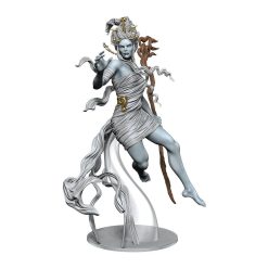 D&D Icons of the Realms pre-painted Miniatures Storm King's Thunder: Box 2