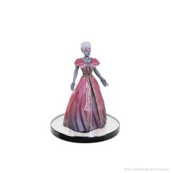 D&D The Legend of Drizzt 35th Anniversary pre-painted Miniatures Family & Foes Boxed Set