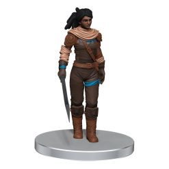 D&D Voices of the Realms pre-painted Miniatures Band of Heroes