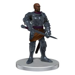D&D Voices of the Realms pre-painted Miniatures Band of Heroes