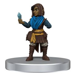 D&D Voices of the Realms pre-painted Miniatures Band of Heroes