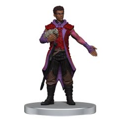 D&D Voices of the Realms pre-painted Miniatures Band of Heroes
