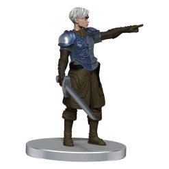 D&D Icons of the Realms pre-painted Miniatures Kalaman Military Warband 13 D&D Icons of the Realms pre-painted Miniatures Kalaman Military Warband
